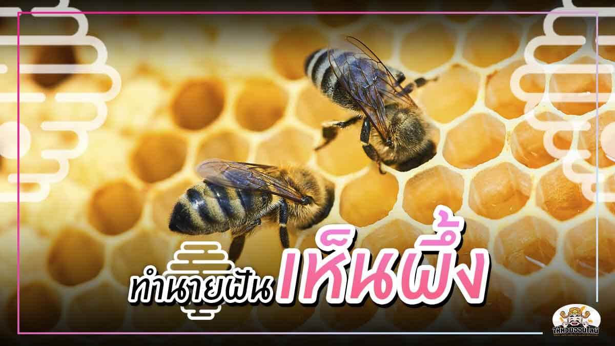feature-image_singlepost-ทำนายฝันเห็นผึ้ง พร้อมเลขเด็ดลุ้นหวยรัฐบาล